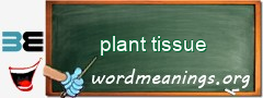 WordMeaning blackboard for plant tissue